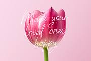 Prima Donna, a Script Font by Larin Type Co. (Thumbnail 7 of 8)