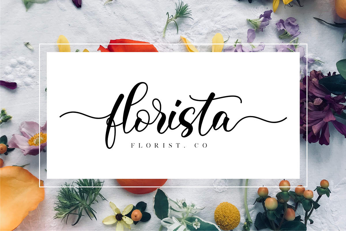 Clarista Script preview 4