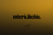 Chiper Type, a Serif Font by Canden Meutuah (Thumbnail 5 of 5)