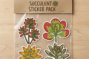 Succulent Illustration Pack, an Illustration by Tekuni (Thumbnail 11 of 13)