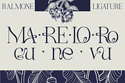Ralmone Modern Display Serif Font, a Serif Font by Rasio Studio (Thumbnail 7 of 10)