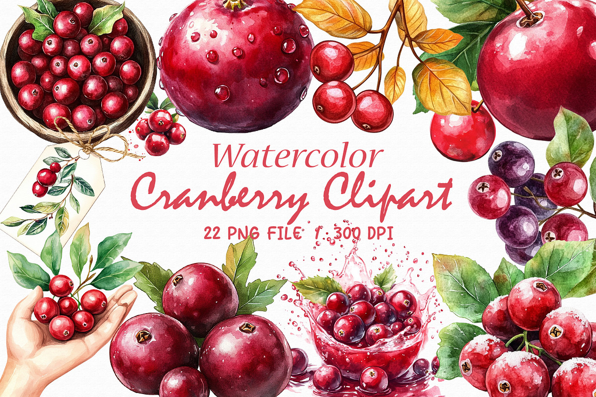 Watercolor Cranberry Clipart, an Illustration by Libby Wishes (Photo 1 of 10)