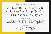 Veriona || Serif Font, a Serif Font by Idea Studio (Thumbnail 7 of 10)