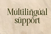 LACOSTE foliage, a Serif Font by Gatype (Thumbnail 4 of 9)