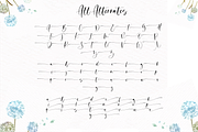 Pashmina, a Script Font by Sronstudio (Thumbnail 10 of 10)