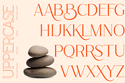 Rottering - Modern Serif Typeface, a Serif Font by Absonstype (Thumbnail 3 of 12)