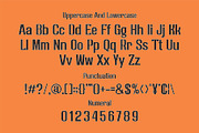 Kaferice Findlandia || Sans Serif, a Sans Serif Font by Idea Studio (Thumbnail 3 of 5)