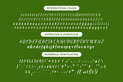 Shothery Mistoph Modern Handwritten, a Script Font by stylishtype.co (Thumbnail 18 of 20)