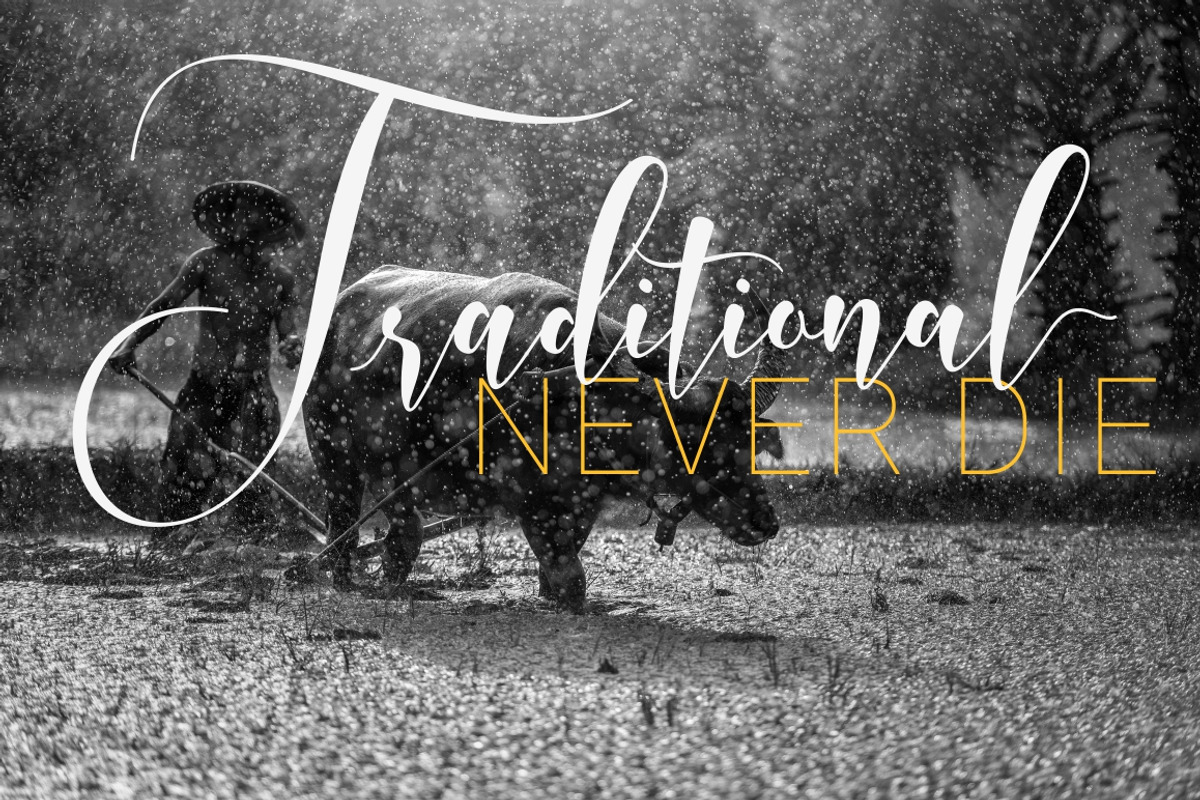 Whitedove Modern Script - UPDATE!, a Script Font by FadeLine Studio (Photo 10 of 13)