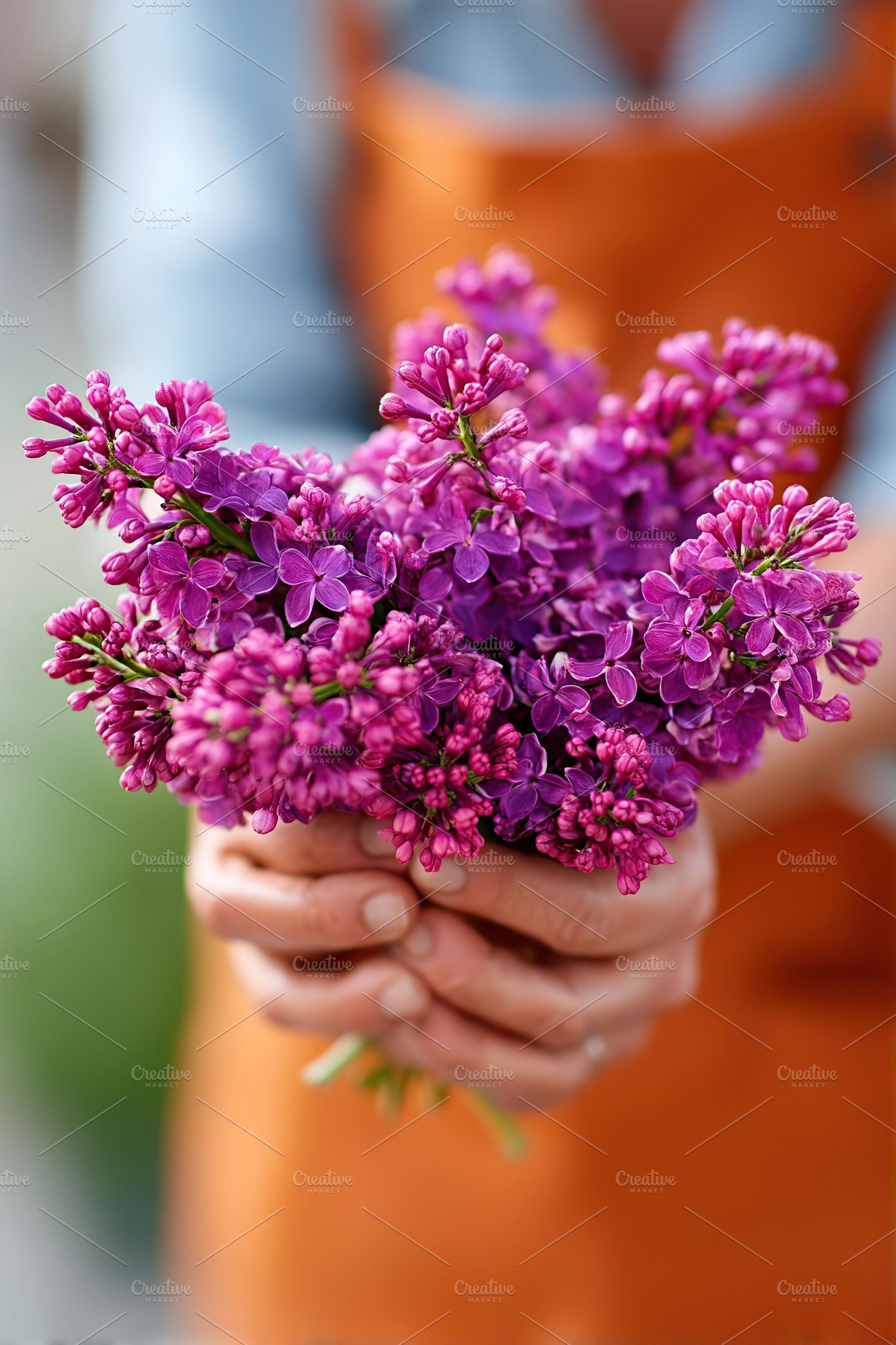 A young woman smiles, showcasing a beautiful bouquet of lilacs in a bright outd, a Nature Photo by AlyaAnd