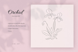 Orchid #24. Line Art Illustration, a Decorative Illustration by lapi-olesya