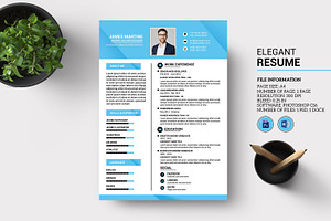 One Page Clean Resume / Cv V60