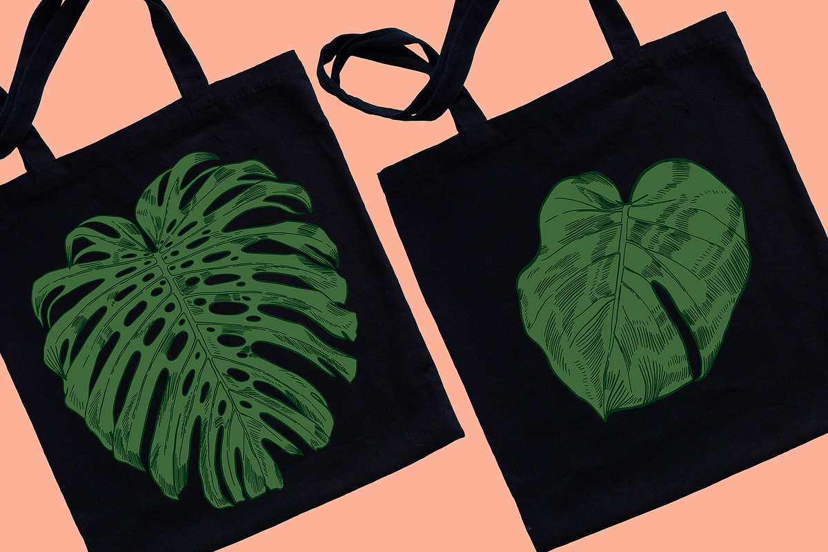 MONSTERA LEAVES, a Decorative Illustration by Tanya Akhmett (Photo 8 of 8)