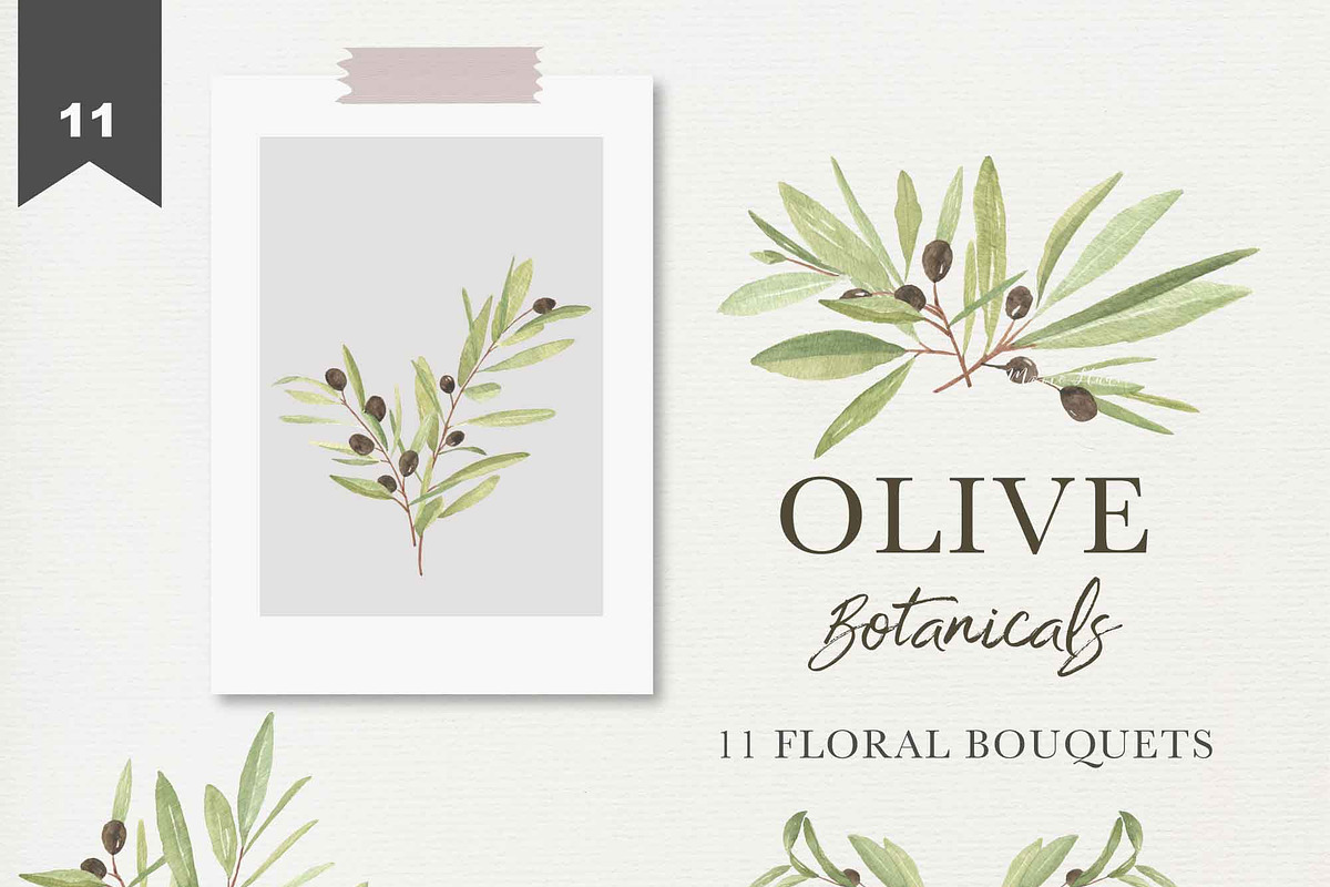 OLIVE BOTANICALS Watercolor & Line, a Work Illustration by Momo Studio (Photo 3 of 15)