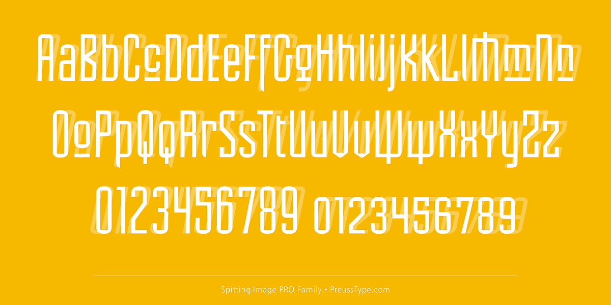 Spitting Image PRO, a Sans Serif Font by preussTYPE (Photo 7 of 9)