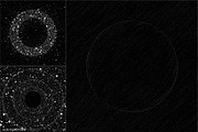 SPACE 6 - 55 dotted line objects, an Object Graphic by kloroform (Thumbnail 13 of 20)