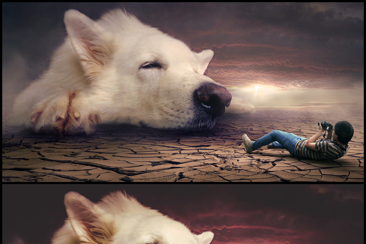 7000+ Professional Lightroom Presets, a Layer Style Add-On by Eldamar Studio (Photo 23 of 33)