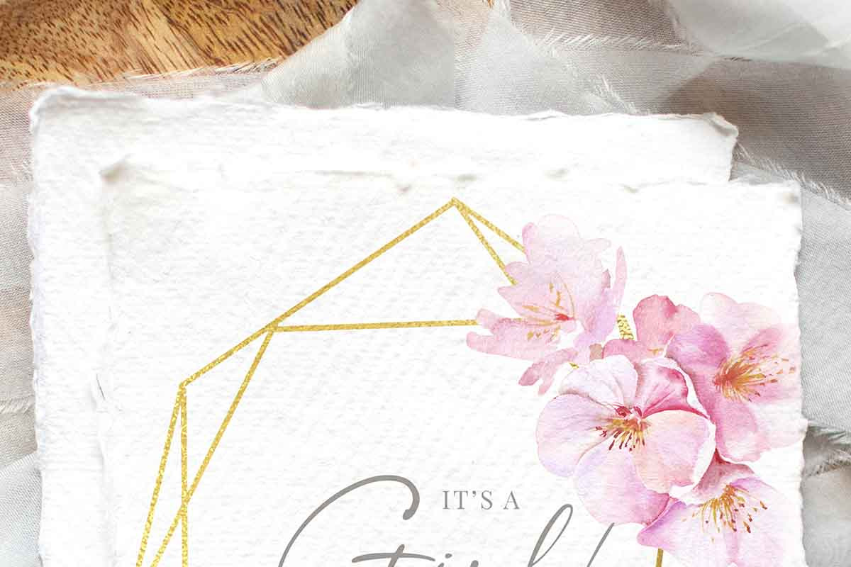 Tender Cherry Blossom, an Illustration by Olga Koelsch (Photo 5 of 8)