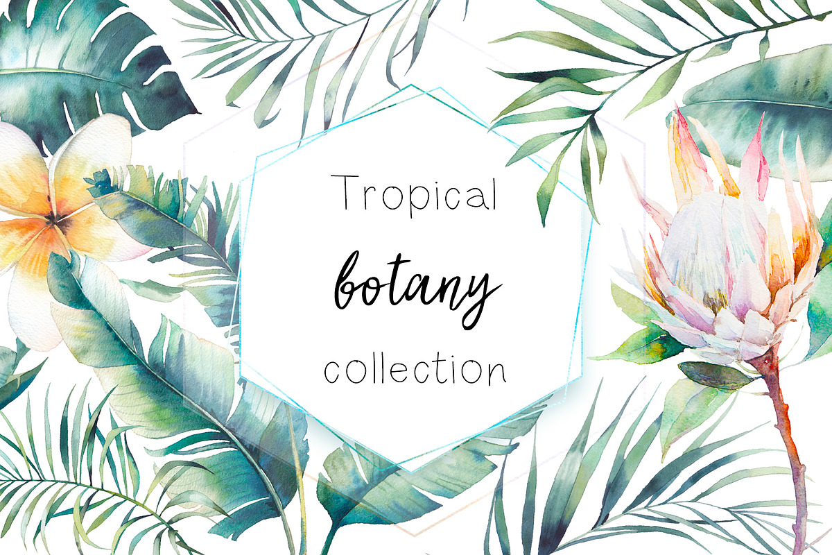 Tropical botany collection, an Object Illustration by Eisfrei (Photo 1 of 6)