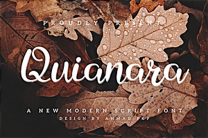 Quianara Font - Elegant Script