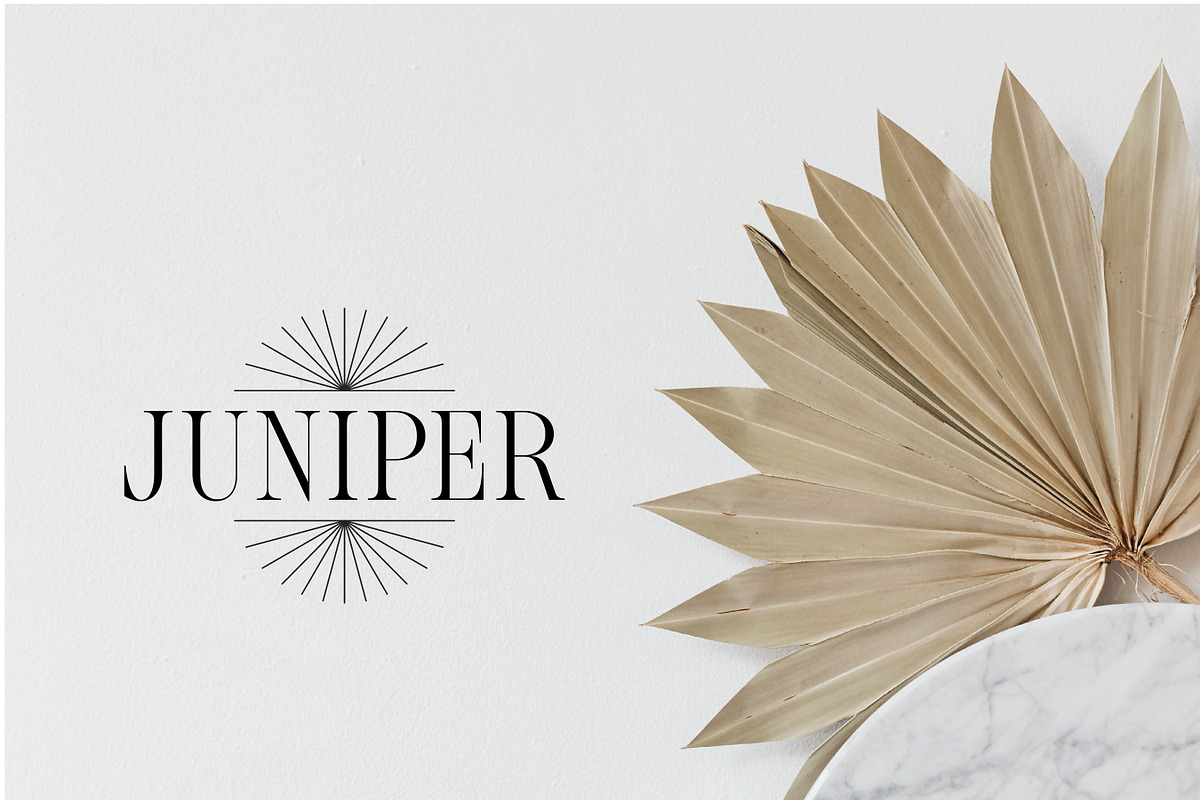 Minimal Logo Kit For Illustrator, a Branding & Logo Template by Forth and Wild (Photo 14 of 14)