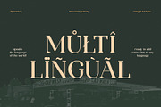 TBJ Sodabery Serif Retro Family, a Serif Font by Taboja Studio (Thumbnail 20 of 21)