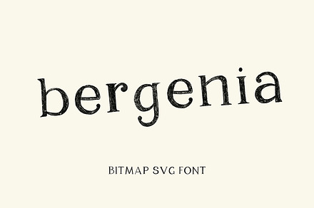 Bergenia, SVG pencil texture font, a Serif Font by Art pages
