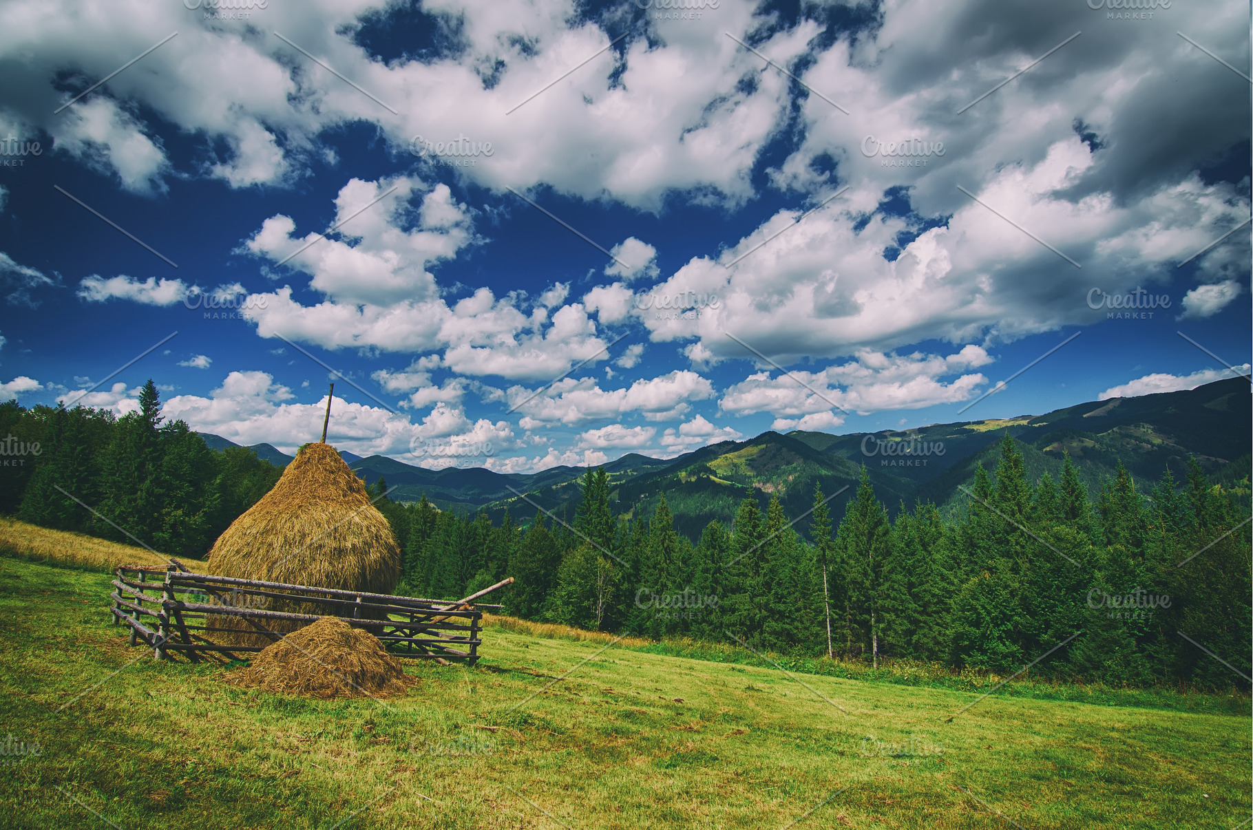 Summer mountain landscape, a Nature Photo by Nature and travel