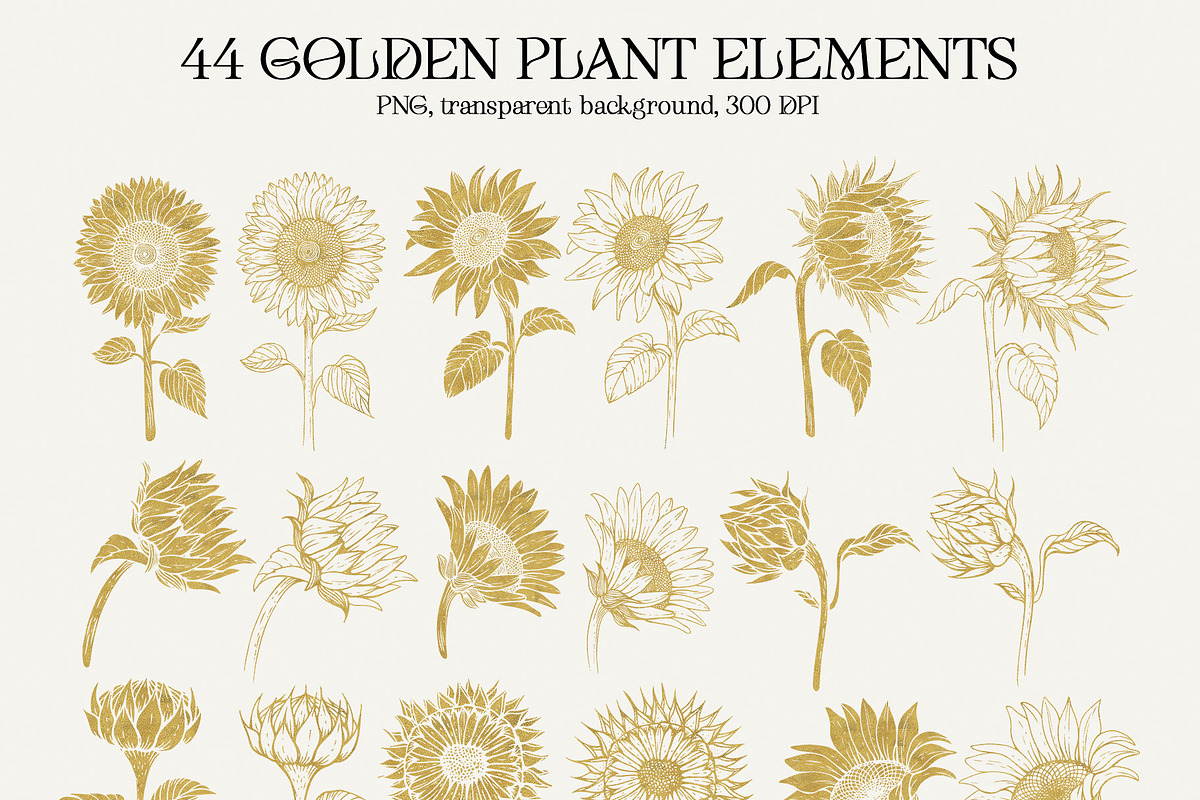 Sunflowers PNG, EPS, AI, SVG, a Graphic by Elena_Sedova (Photo 3 of 9)