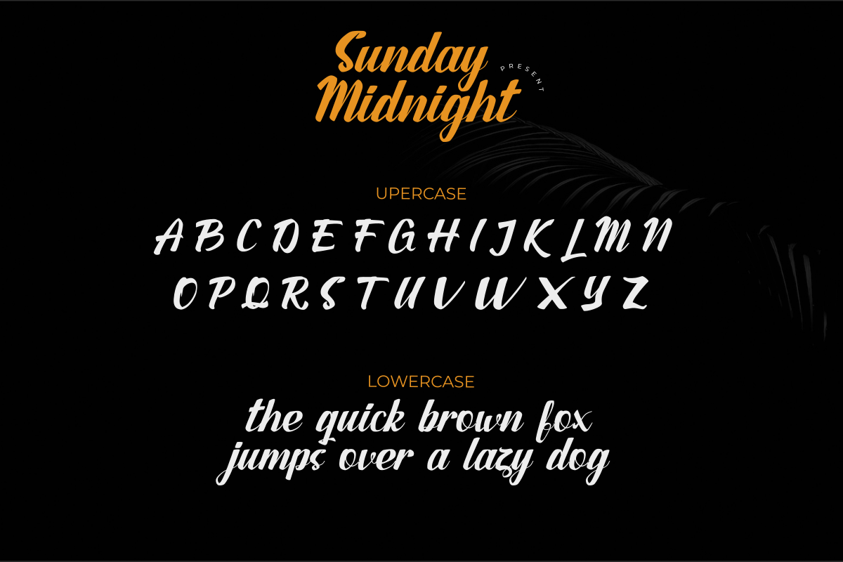 Sunday Midnight, a Handwritten Font by saemoon creative (Photo 11 of 12)