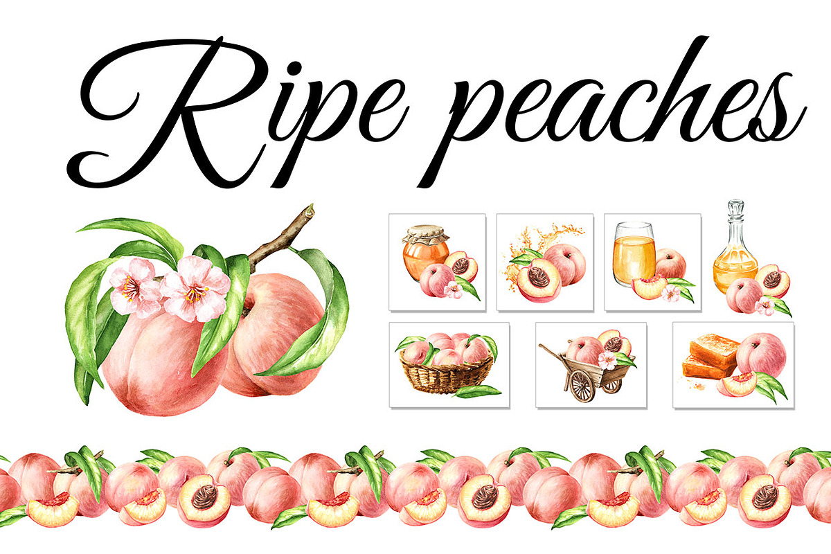 Ripe Peaches. Watercolor set, a Food Illustration by Daria Ustiugova (Photo 1 of 23)