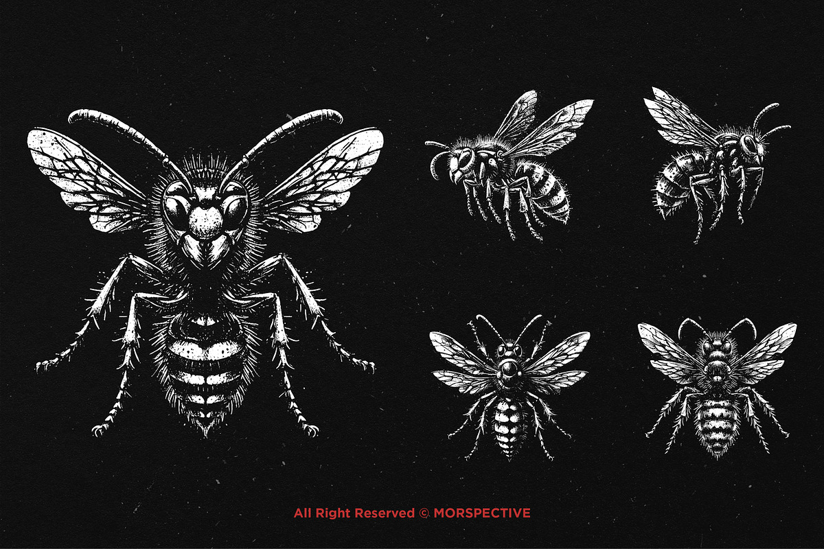 10 Bundle Dark Art Wasp Insect Skull, an Illustration by Morspective (Photo 3 of 7)