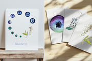 Watercolor Blueberry Life Cycle Set, an Education Illustration by Tati Bordiu (Thumbnail 4 of 4)