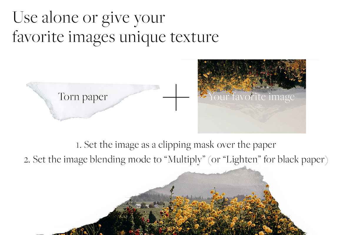 High Resolution Paper Tear Textures, a Texture Graphic by Touch and Form (Photo 2 of 7)