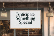 Misthefa Aveline Luxury Serif Font, a Serif Font by timelesstype.co (Thumbnail 7 of 20)