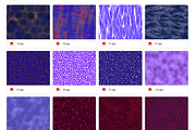 Seamless Purple ABSTRACT TEXTURES, a Texture Graphic by Arthitecture Home (Thumbnail 2 of 11)