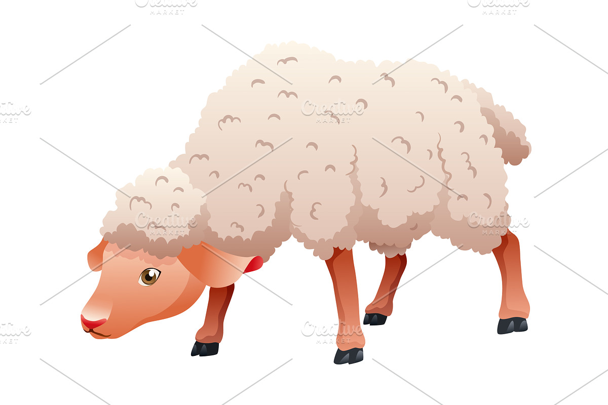 Small cartoon sheep. Lamb flat, an Animal Illustration by the8monkey