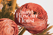 Voglire Elegant Sans Serif Font, a Sans Serif Font by Perfectype (Thumbnail 6 of 8)