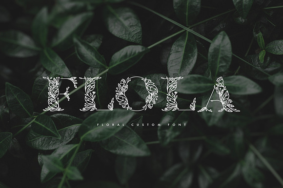 Flola Hand Drawn Font preview 6