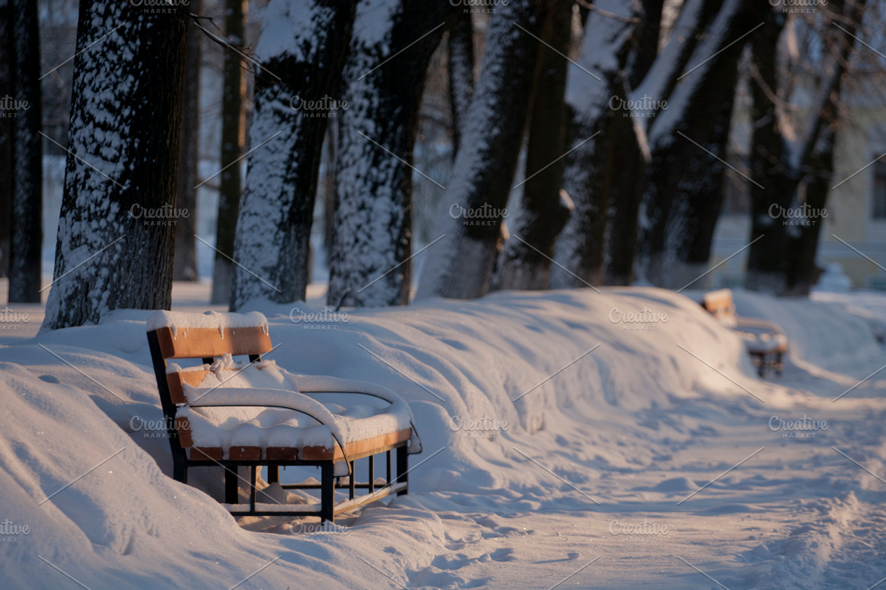 Park In Winter