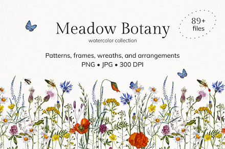Meadow Botany. Watercolor Floral Set, a Healthcare Illustration by JulShuman