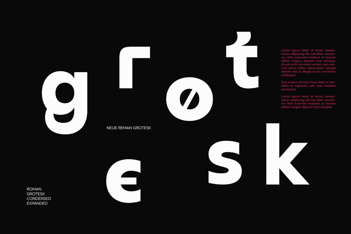 Neue Reman Grotesk, a Sans Serif Font by Propertype (Photo 3 of 14)