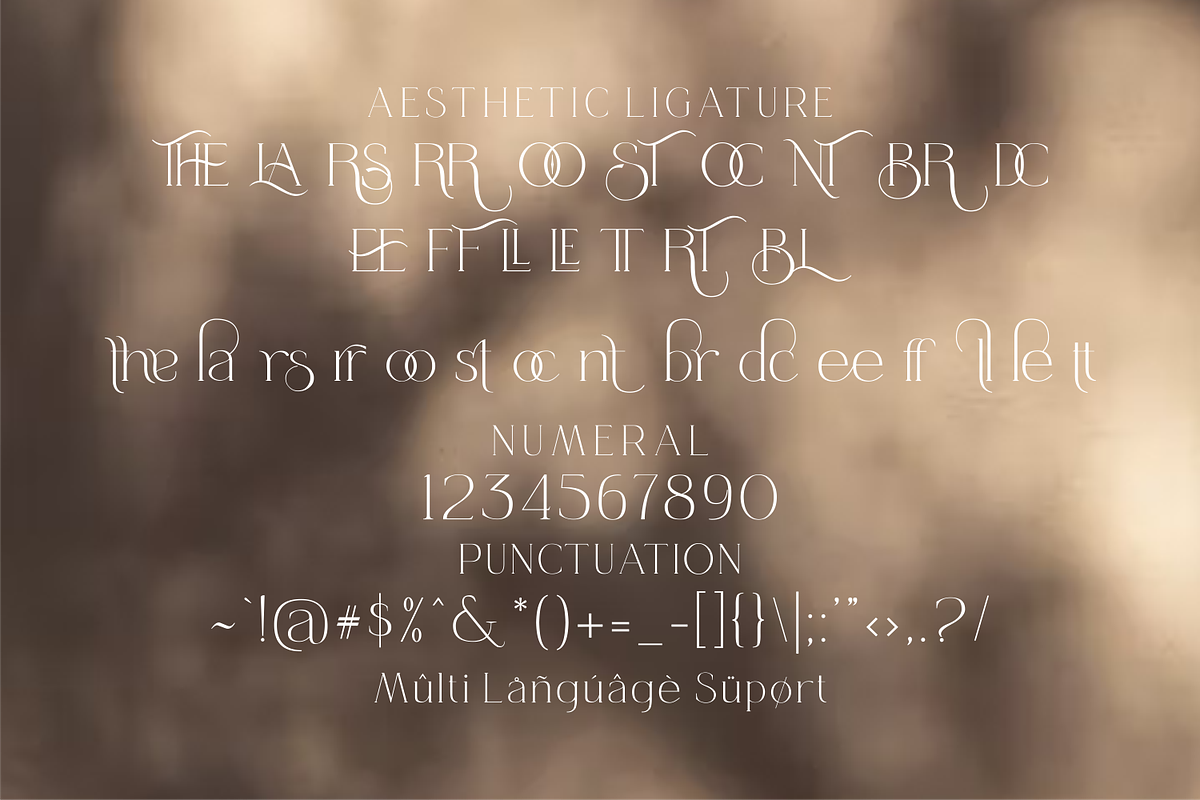 Queensila is a comely serif styled, a Font by zamjumps (Photo 11 of 12)