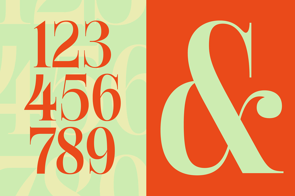 Delivery Feedback Modern Serif, a Serif Font by timelesstype.co (Photo 14 of 20)