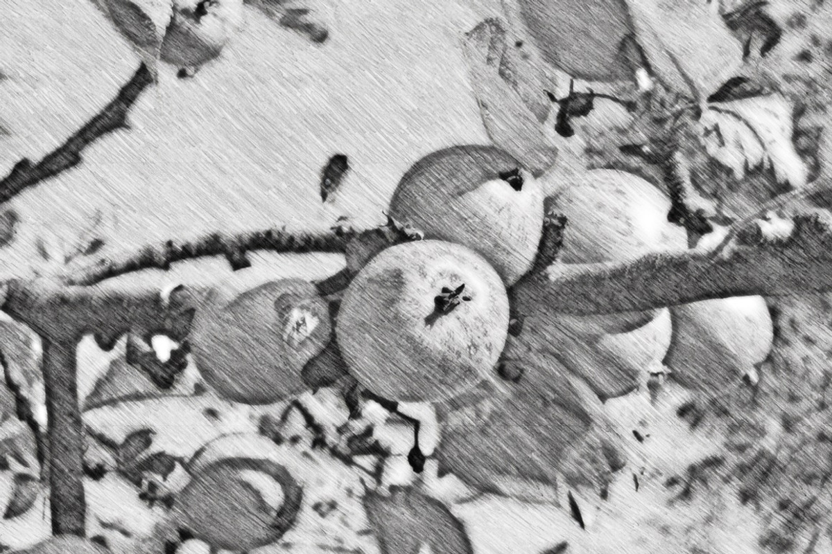 Pencil Sketch Portrait PS Action, an Action Add-On by MRI STUDIO (Photo 12 of 12)