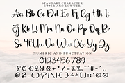 Brilliant Signature, a Handwritten Font by InermediaSTUDIO (Thumbnail 5 of 8)