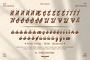 Vintage Fortuin Brush Script Font, a Handwritten Font by Templatiostudio (Thumbnail 10 of 12)