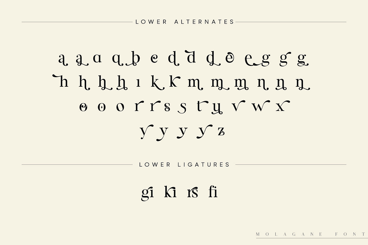 Molagane | Fancy Serif Typeface, a Serif Font by Qaratype (Photo 25 of 26)