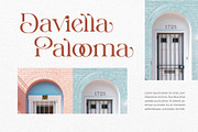 Bavicka - Stylish Ligature Font, a Serif Font by Aqeel_Art (Thumbnail 2 of 8)