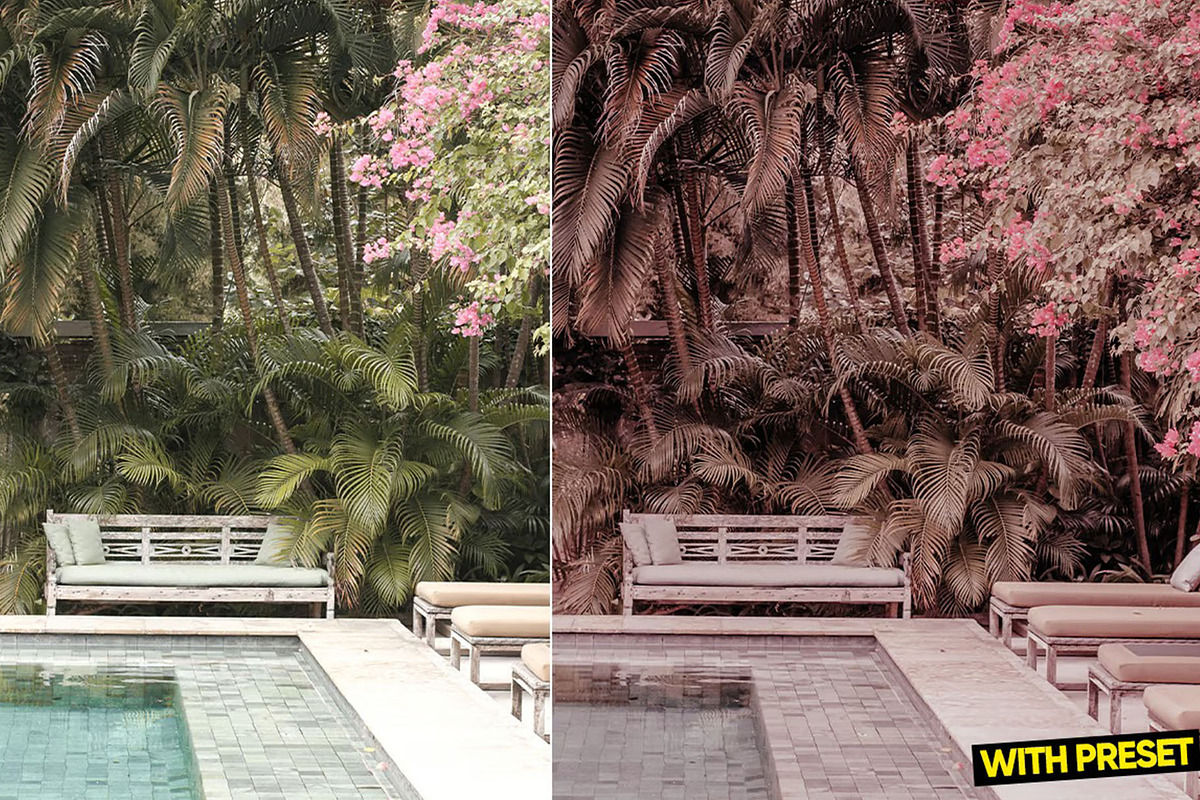 Pink Dream Presets for Lightroom, a Preset Add-On by Hubzway (Photo 5 of 5)
